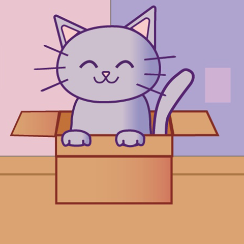 Portfolio Hero Image